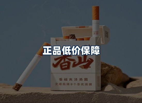 专业团队办公环境